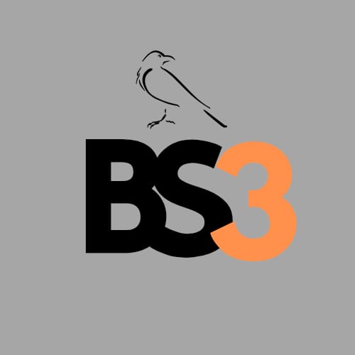 BS3